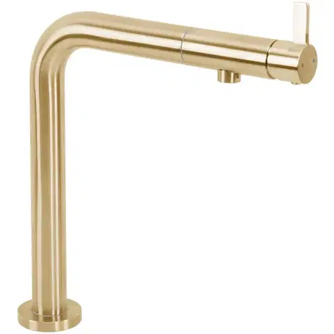 REA Kuchyňská baterie COLE Brush Gold REA-B2720