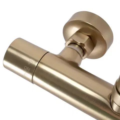 REA Sprchový set s baterií 150mm s termostatem PAROT kartáčovaná zlatá REA-P2323