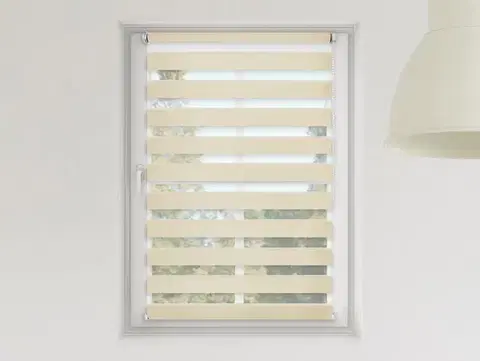 FEXI Roleta Den a noc, Luxus nature bambus, A 01508, 150x60 cm