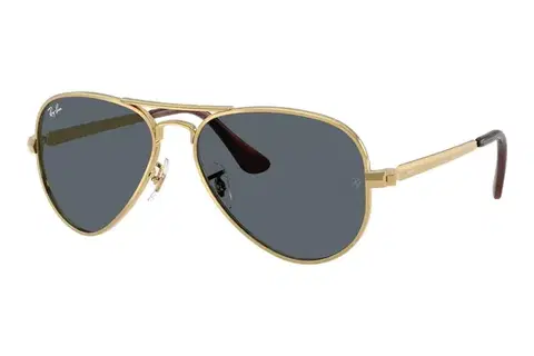 Ray-Ban Aviator Max RB3925 001/R5 - L (62)