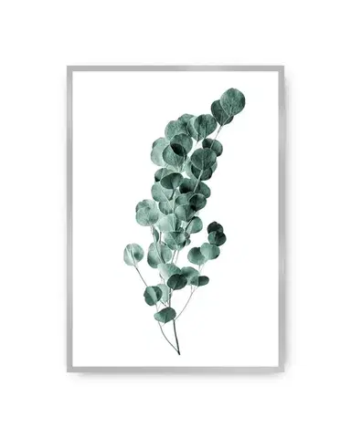 Plakát Eucalyptus Emerald Green
