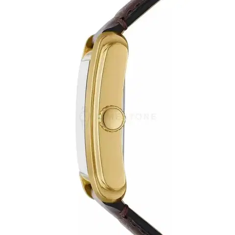 Fossil Carraway FS6011
