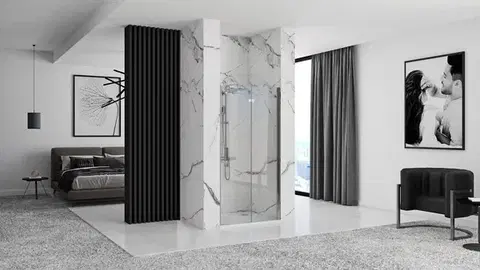 REA/S Sprchové Dveře Molier Chrome + Profil 90 KPL-K8539