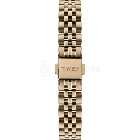 Timex TW2T88600