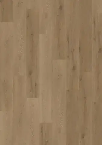 Oneflor, Vinylová podlaha lepená ECO 55 059 Prestige Oak Light Amber - dub, 1219,2 x 184,1 mm