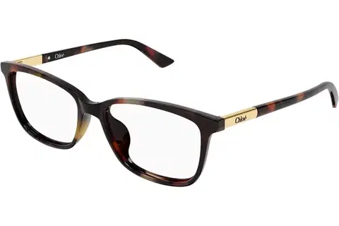 Chloe CH0371OA 002 - ONE SIZE (55)