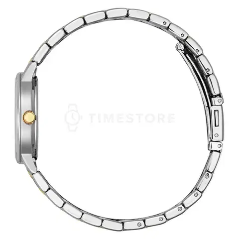 Citizen Quartz EU6096-58A
