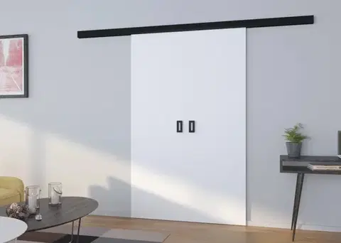 ArtAdrk Posuvné dveře TOPPO | 120 cm