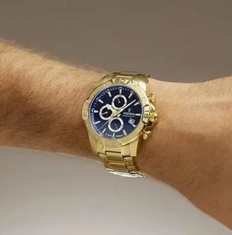 Festina Timeless Chronograph 20705/5