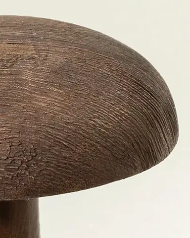 Houba Darkcap 12x18 cm