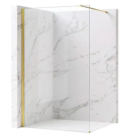 REA/S Sprchová zástěna Flexi Transparent / Gold 110 KPL-K99564