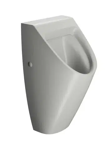 GSI COUNITY urinál se zakrytým přívodem vody, Rimless, 31x65cm, cenere mat 909717