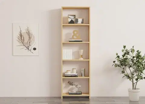 Knihovna New - Oak