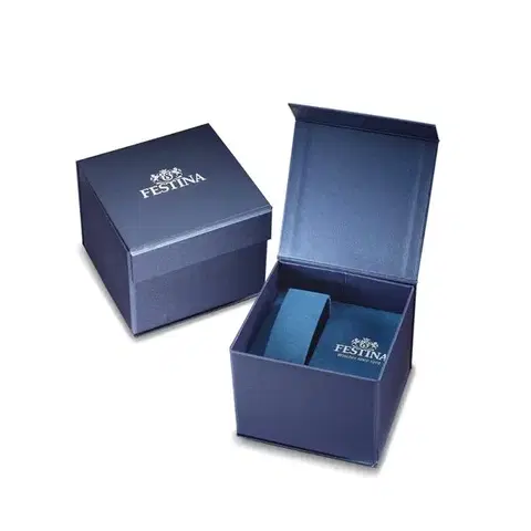 Festina Classic Strap 20358/5