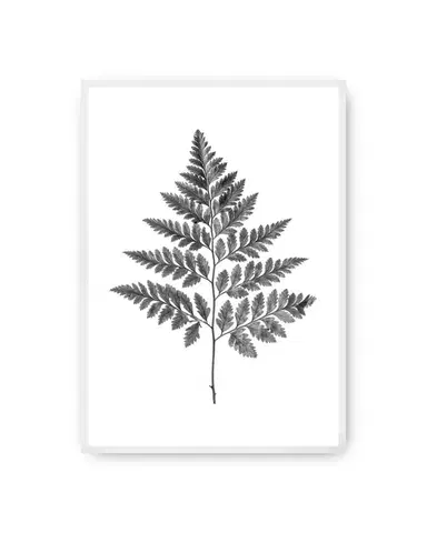 Plakát Fern Grey