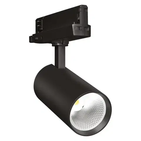 LEDVANCE TR SP XR V 30W 950 24DEG BK VEG 4099854617508