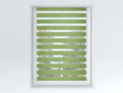 FEXI Roleta Den a noc, Origin slim zelené jablko, A 042, 150x101 cm