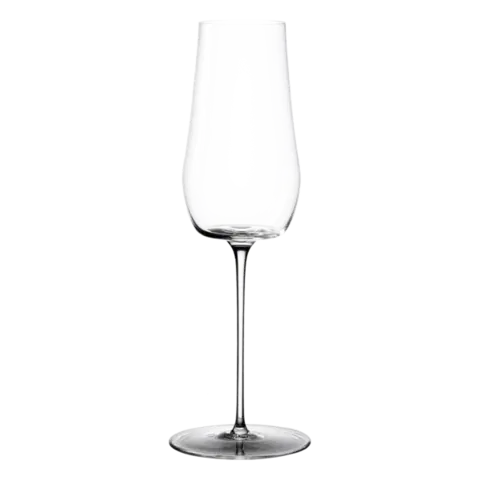 Sklenice na šampaňské 290 ml, set 2 ks — Green Wave Platinum Line Lunasol II - 322903