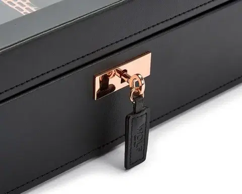 Box Wolf Axis 488016