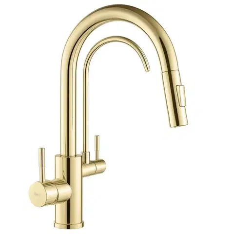 REA Kuchyňská baterie Eco Fresh GOLD REA-B8989