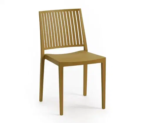 Jídelní židle BARS Rojaplast