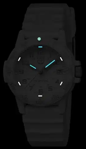 Luminox 0307.WO