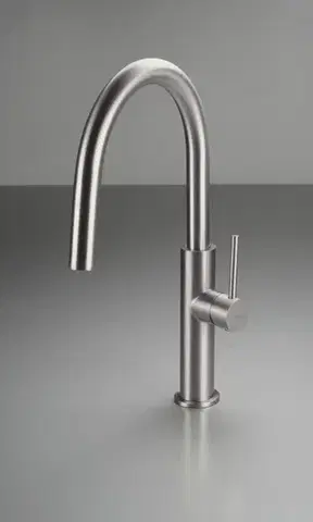 DEANTE Kuchyňská baterie Evora, ocel BQJ_F62M