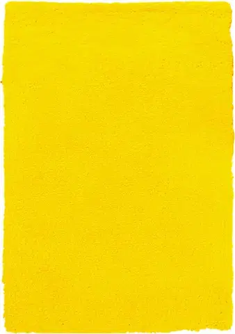 B-line, Kusový koberec Spring Yellow, 120x170, žlutá, ložnice