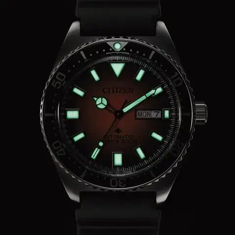 Citizen Promaster NY0120-01ZE