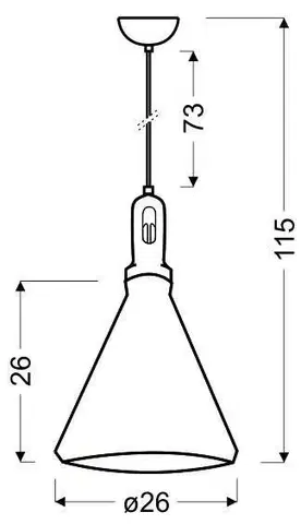 Závěsná lampa Robinson 26 1X60W E27 černo-černá