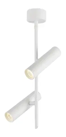 Stropní LED světlo TUBA Candellux