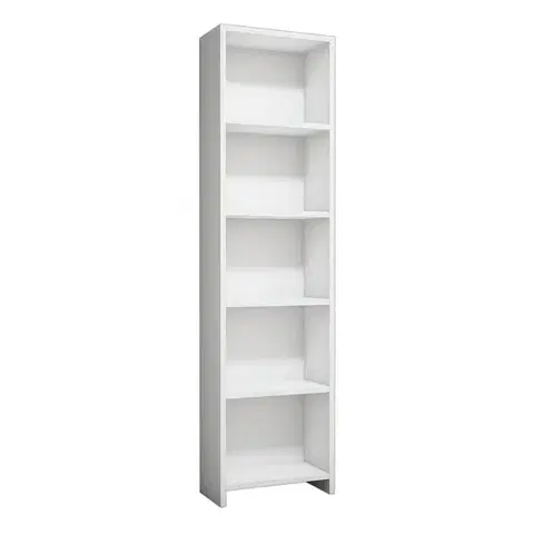 Knihovna Barkin White