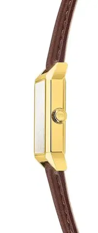 Festina Classic Strap 20780/2