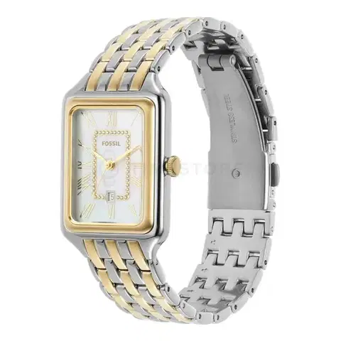 Fossil Raquel ES5305
