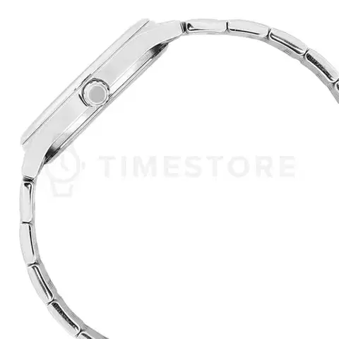 Casio Timeless BMS-100D-8AVDF
