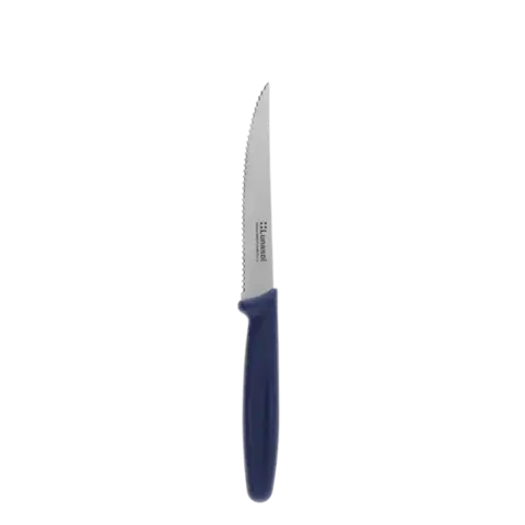 Steakový nůž s vroubkovaným ostřím 11,2 cm — Master Blue - 105643