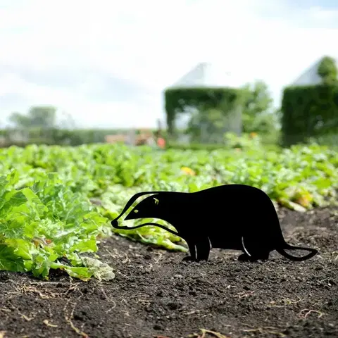 Zahradní dekorace Badger 01