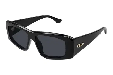 Chloe CH0299S 001 - ONE SIZE (55)
