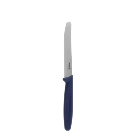 Nůž na rajčata s jemně vroubkovaným ostřím 11,2 cm — Master Blue - 105644