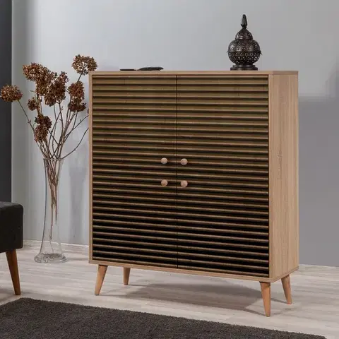 Víceúčelová skříňka Multilux-220