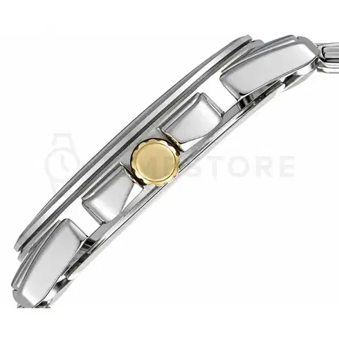 Casio Timeless LTP-1314SG-1AVDF