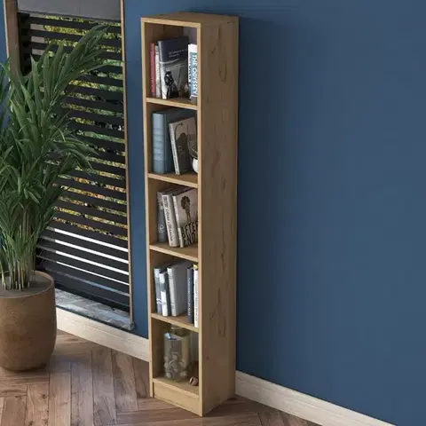Knihovna Hale Walnut