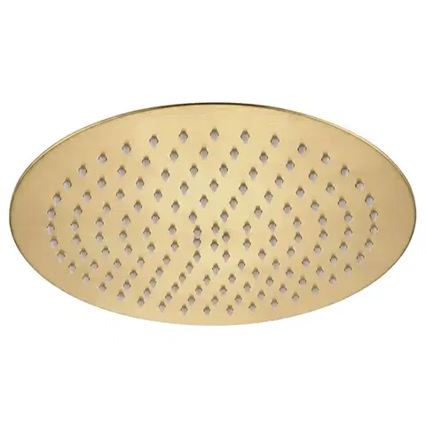 REA Kulatá dešťová sprcha JS-P014BG 30cm Brush Gold REA-P8604