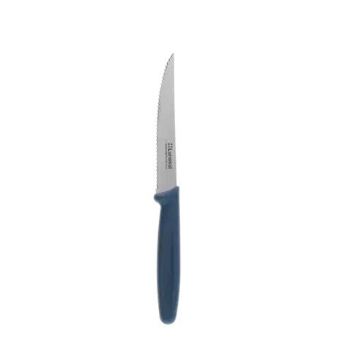 Steakový nůž se vroubkovanou čepelí 11,2 cm — Master Petrol - 105637