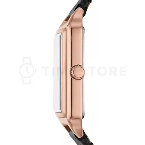 Fossil Raquel ES5310