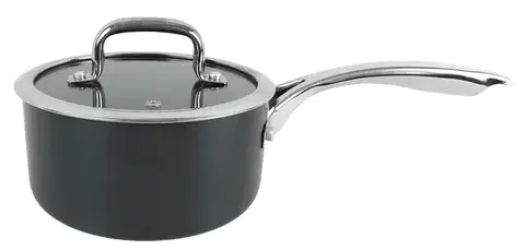PROHOME - Pánev s poklicí 16cm