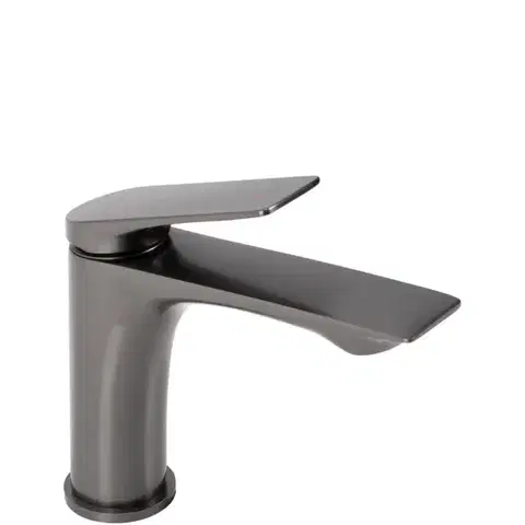 REA Umyvadlová baterie AVALON titanium Low REA-B2702