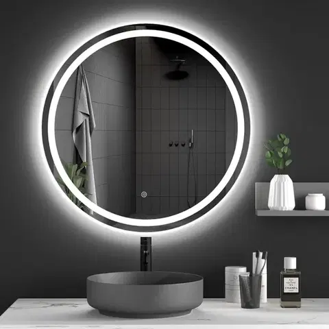 REA Zrcadlo LED  50cm BAS P11239 HOM-09517