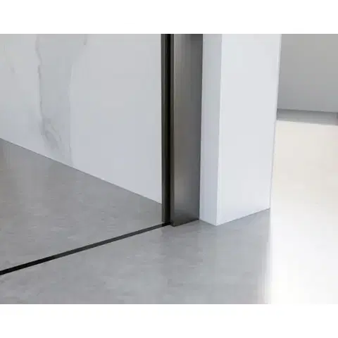 HOPA Walk-in sprchový kout LAGOS CLASSIC 195 Barva rámu Grafit, Rozměr A 80 BCLAGO80GCN