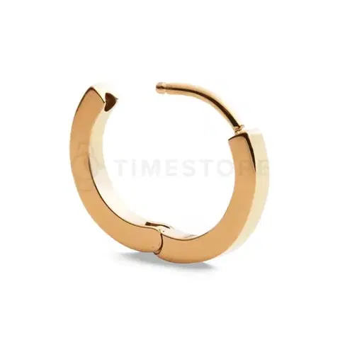 Single náušnice Daniel Wellington DW00400872